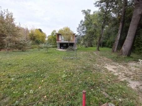 Žrtava fašizma, Prograr, Surčin ID#8421