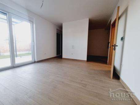 PETROVARADIN - MIŠELUK - 151.00 m2