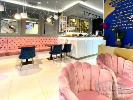SREMSKI KARLOVCI - CENTAR - 250.00 m2