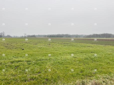 Slavonija, Ruščica, Slavonski Brod, građevinska parcela 3500m2, zemljište posebne državne skrbi. 