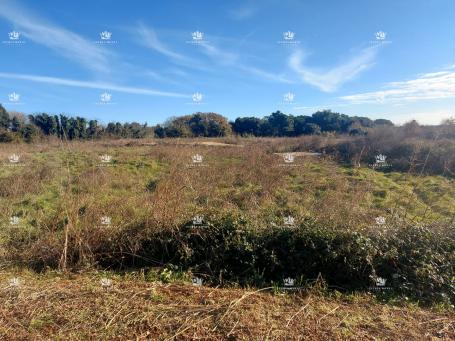 Prodaja velikog poljoprivrednog zemljišta u Gočanu, Barban, Svetvinčenat – Idealno za poljoprivrednu