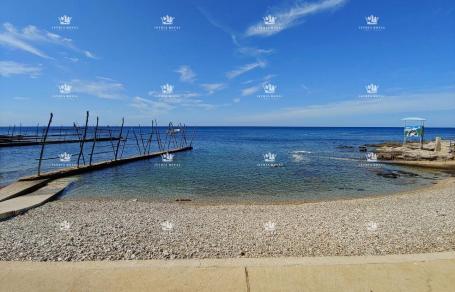 Istra , Bašanija , gradjevinska parcela 16.000m2 , T1, T2 . T3 zona , 900m od mora  , prilika za inv