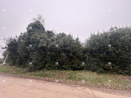 Istra , Umag , Materada , gradjevinska parcela 590m2 sa ruševinama , 