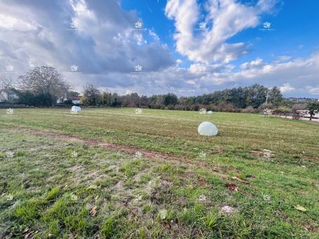 Građevinsko zemljište 4000 m² na prodaju – okolica Baderne, visoka izgradivost, infrastruktura na pa