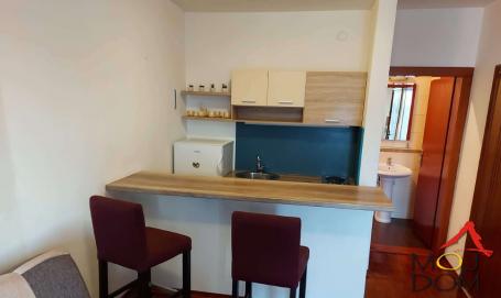 NOVI SAD - SALAJKA - IZDAVANJE NEKRETNINA - 25 m2 - 300€