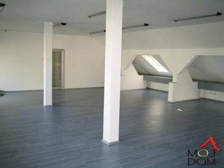 NOVI SAD - CENTAR - IZDAVANJE NEKRETNINA - 350 m2 - 3,500€