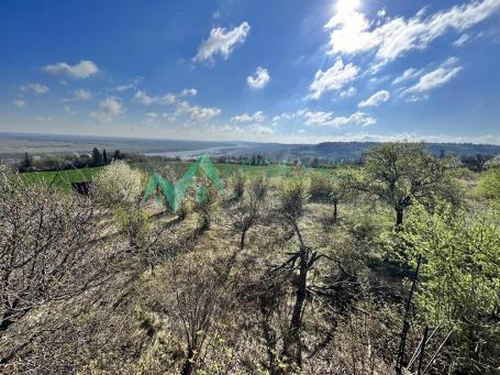  Sremski Karolovci - Plac sa prelepim pogledom na Dunav 