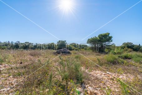 Ližnjan, Ližnjan, 769,00 m2, 153.800,00 EUR