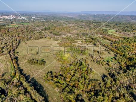 Prostrano poljoprivredno zemljište 67900m2 Marčana