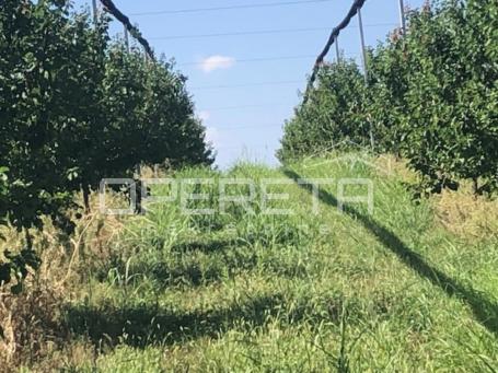 Banska Kosa, Zemljište, 2.200.000,00 EUR