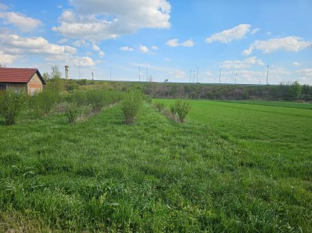 Bani bb, Dugave, 3.093,00 m2, 340.230,00 EUR