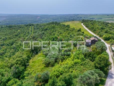 Istra, Buje okolica- Građevinsko zemljište s otvorenim pogledom