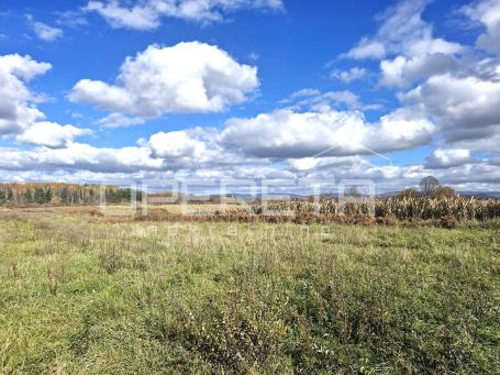 Gospić, Centar, 25.000,00 m2, 89.000,00 EUR