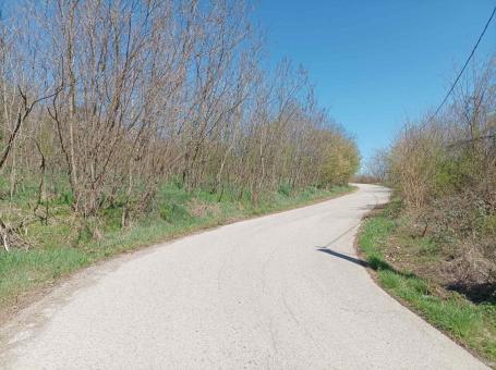 Šumsko zemljište u blizini vikend naselja. Moguća konverzija i gradnja. 25km od Beograda. 