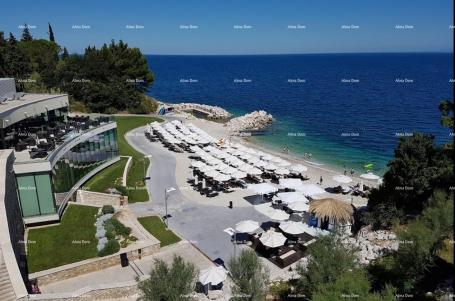 Apartment UMAG! Luxury resort with a rooftop infinity pool!