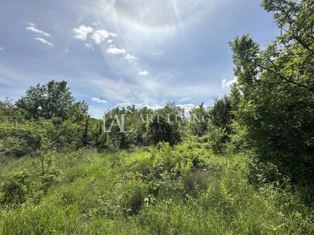 Istrien, Buje, Kaštel – landwirtschaftliche Fläche von 37.200 m² mit einer Agroforstsystem Plan.