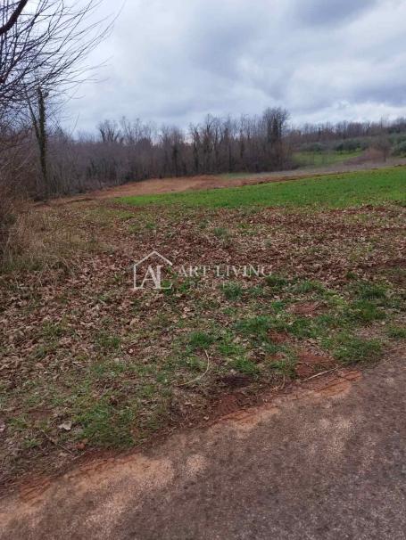 Istra, Barban - prostrano poljoprivredno zemljište i šuma u blizini mjesta Barban