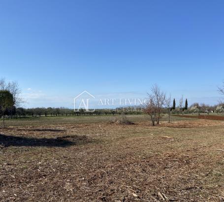 Brtonigla, okolica - prostrano poljoprivredno zemljište, 3000 m2