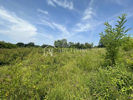 Brtonigla, okolica-poljoprivredno zemljište od 2200 m2, na mirnoj lokaciji