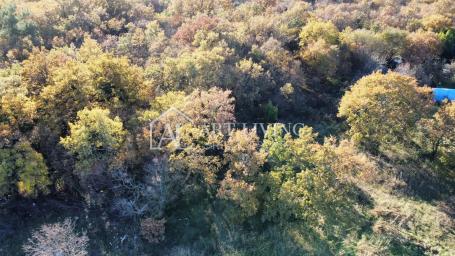 Brtonigla, okolica-poljoprivredno zemljište-mirna i prirodna lokacija