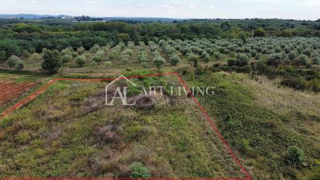Umag, Umgebung – Attraktives Landwirtschaftsgrundstück, 2.600 m² in Top-Lage