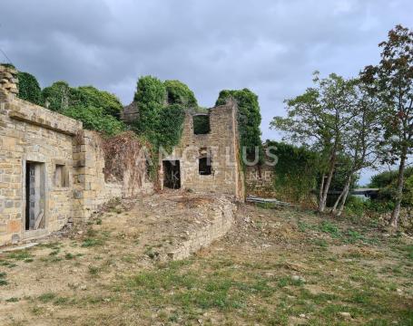 Istra, Motovun - imanje s objektima, 620m2