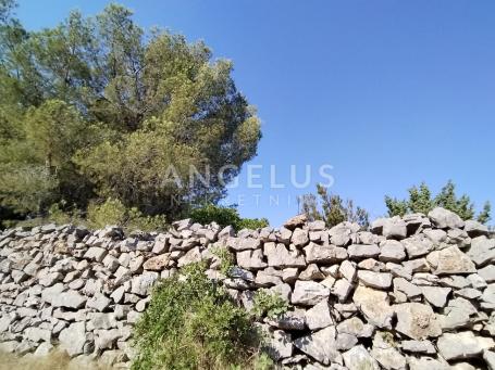 Šolta, Gornje Selo - polj. zemljište sa pogledom na more, 6700 m2, PRODAJA