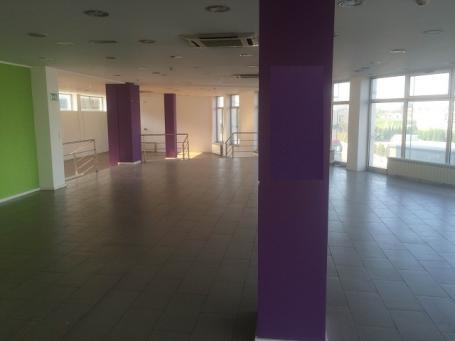 PALILULA ZRENJANINSKI PUT 400m2 , 3200e