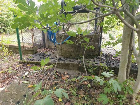 Kuća 104m2 na 294m2 placa, Donje Vlase