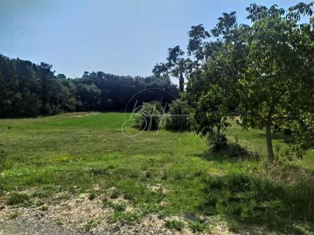 Land Tinjan, 4.557m2