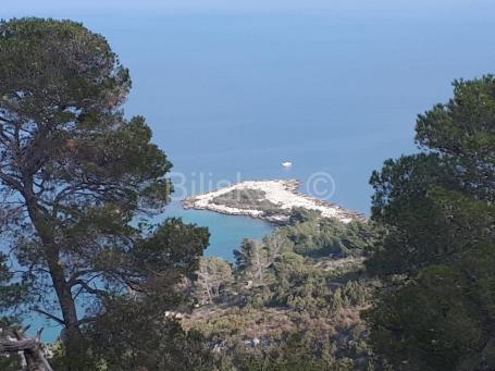 Hvar, blizina Jelse, poljoprivredno zemljište, blizina mora