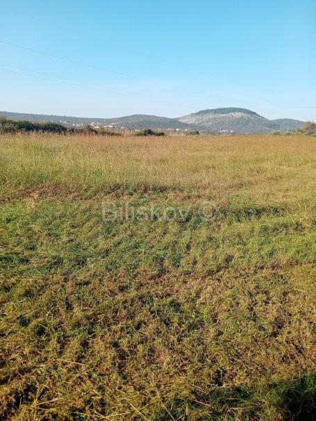 Prodaja, Sveti Filip i Jakov, Donje Raštane, poljoprivredno zemljište 