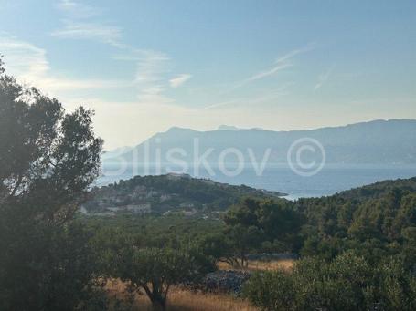 Brač, Povlja prodaja poljoprivredno zemljište 18000 m2