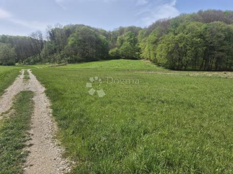 Agricultural land Luka, 12.811m2