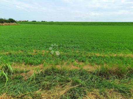 INVESTICIJSKA PRILIKA! Građevinsko zemljište 8.505 m² u Borovu – idealno za solarne panele!