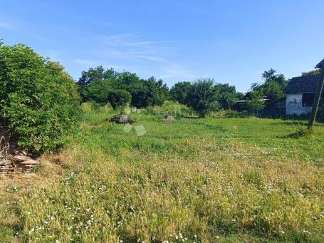 Zemljište 1.309 m² u Branjinom Vrhu – idealno za kuću ili poljoprivredni objekt!