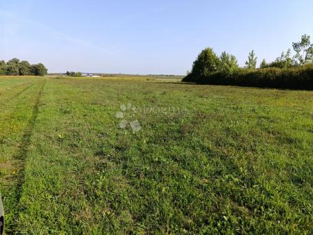 Agricultural land Đakovo, 9.499m2