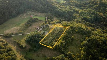 Okić - Žumberak Park prirode 