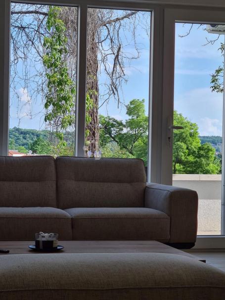 Dedinje, LUX sa dvorištem i garažom
