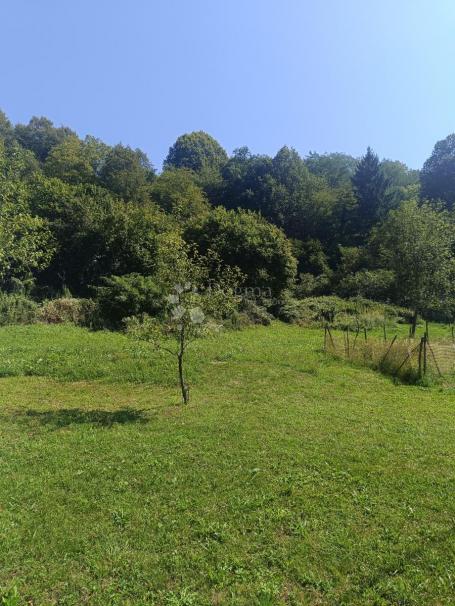 Agrarland Podrebar, Bosiljevo, 109.428m2