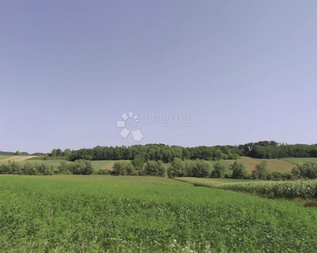 Poljoprivredno zemljište 3,7 ha – Pogančec
