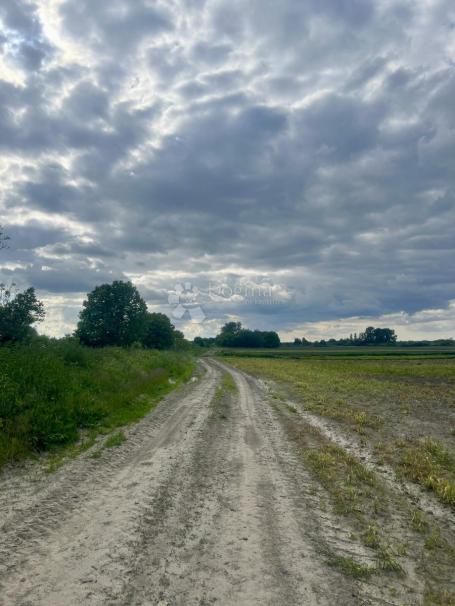 Poljoprivredno zemljište 51.992 m2 Bođani