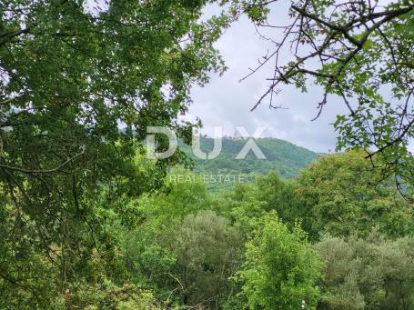 ISTRA, BUZET - Poljoprivredna zemljišta