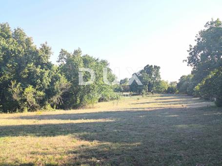 ISTRA, SVETVINČENAT Poljoprivredno zemljište za maslinik