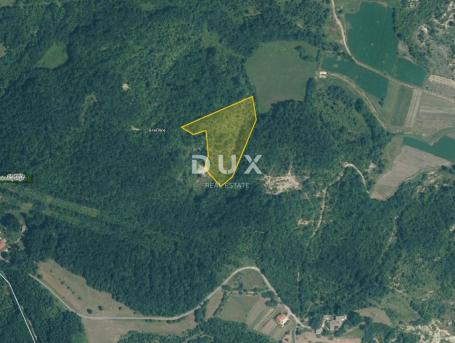 ISTRA, GRAČIŠĆE - Poljoprivredno zemljište, 9.810m2
