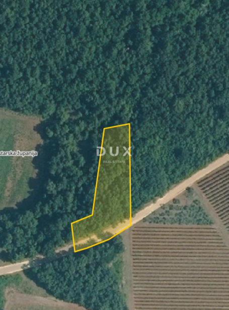 ISTRA, VIŠNJAN - Poljoprivredno zemljište