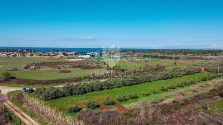 Umag, savršeno građevinsko zemljište 3.700 m2 za investiciju blizu grada i mora!