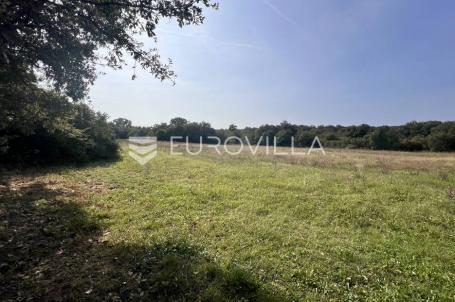 Marčana, Prodol, prostrana poljoprivredna parcela nedaleko od glavne prometnice 10054 m²