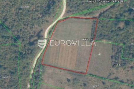 Poljoprivredno zemljište, Rovinjsko Selo 8050m2