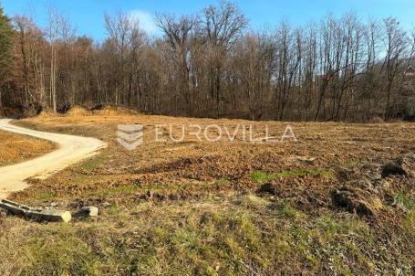 Zelina, Sveta Helena, građevinsko zemljište 1195 m²